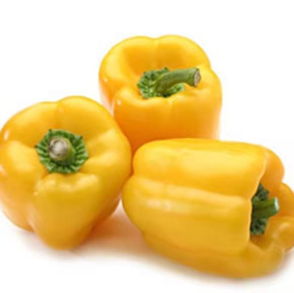黄圆椒
